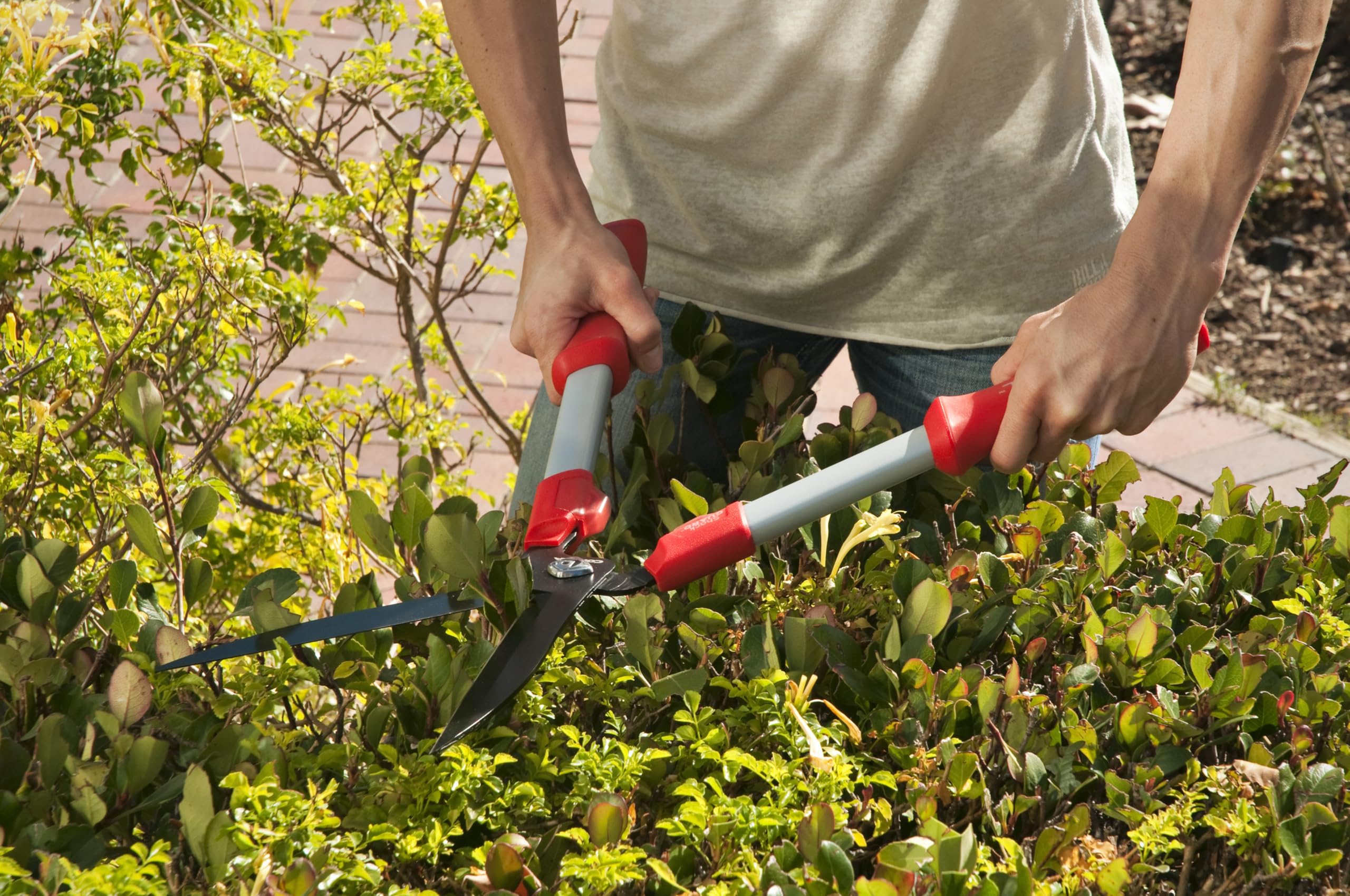 Corona Clipper blade close-up highlighting sharp cutting edge for clean cuts