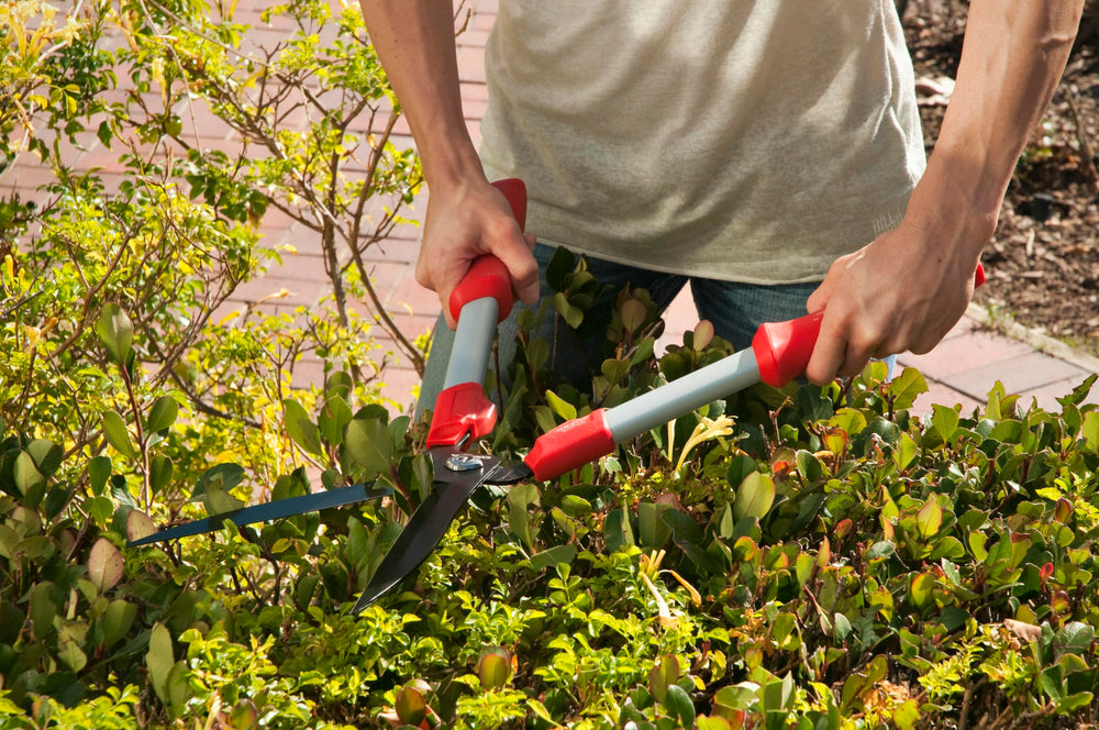 Corona Clipper blade close-up highlighting sharp cutting edge for clean cuts