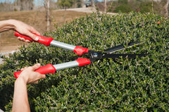 Corona Clipper in use trimming a hedge demonstrating controlled shaping benefit