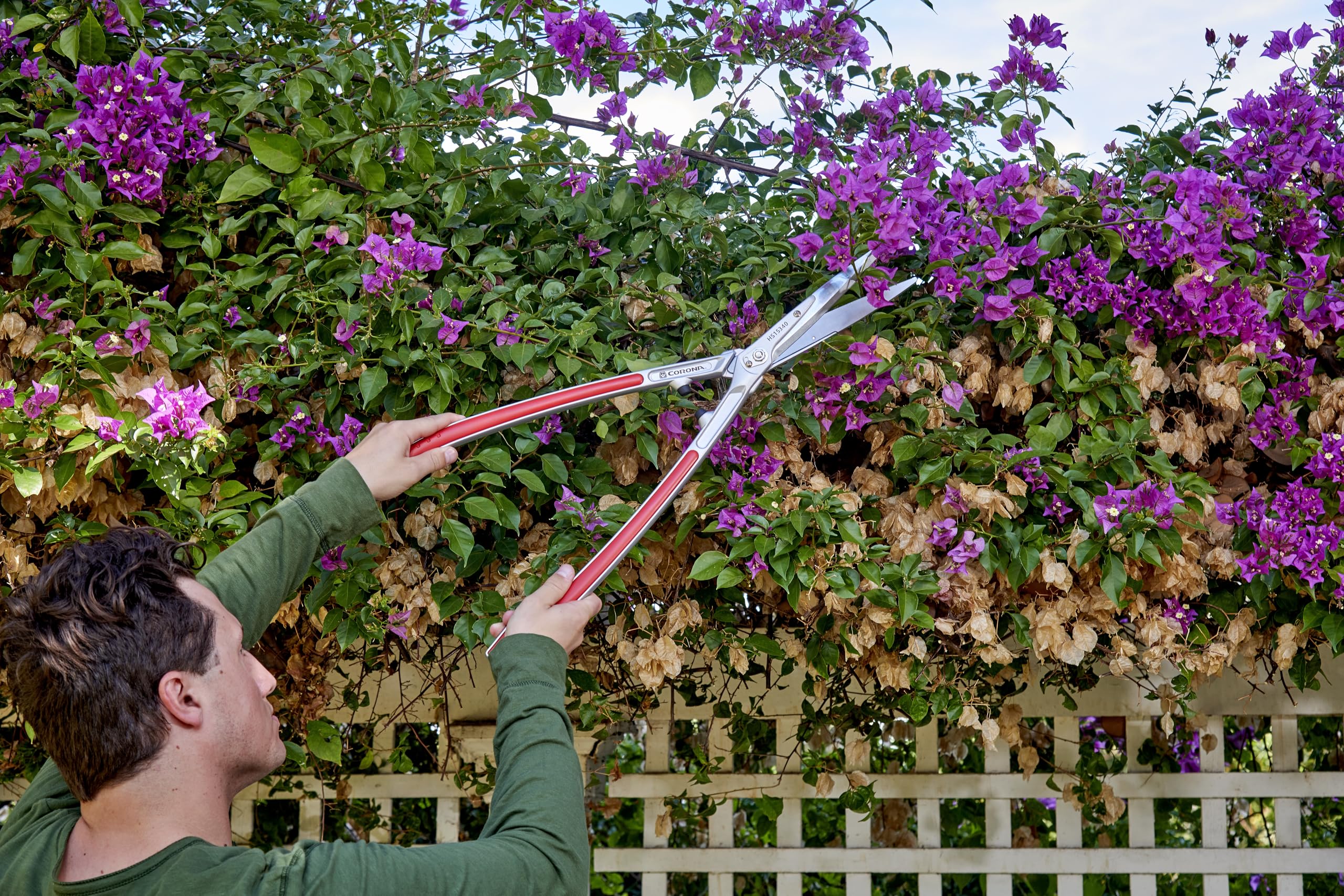 Corona Clipper in use trimming a hedge delivering precise shaping
