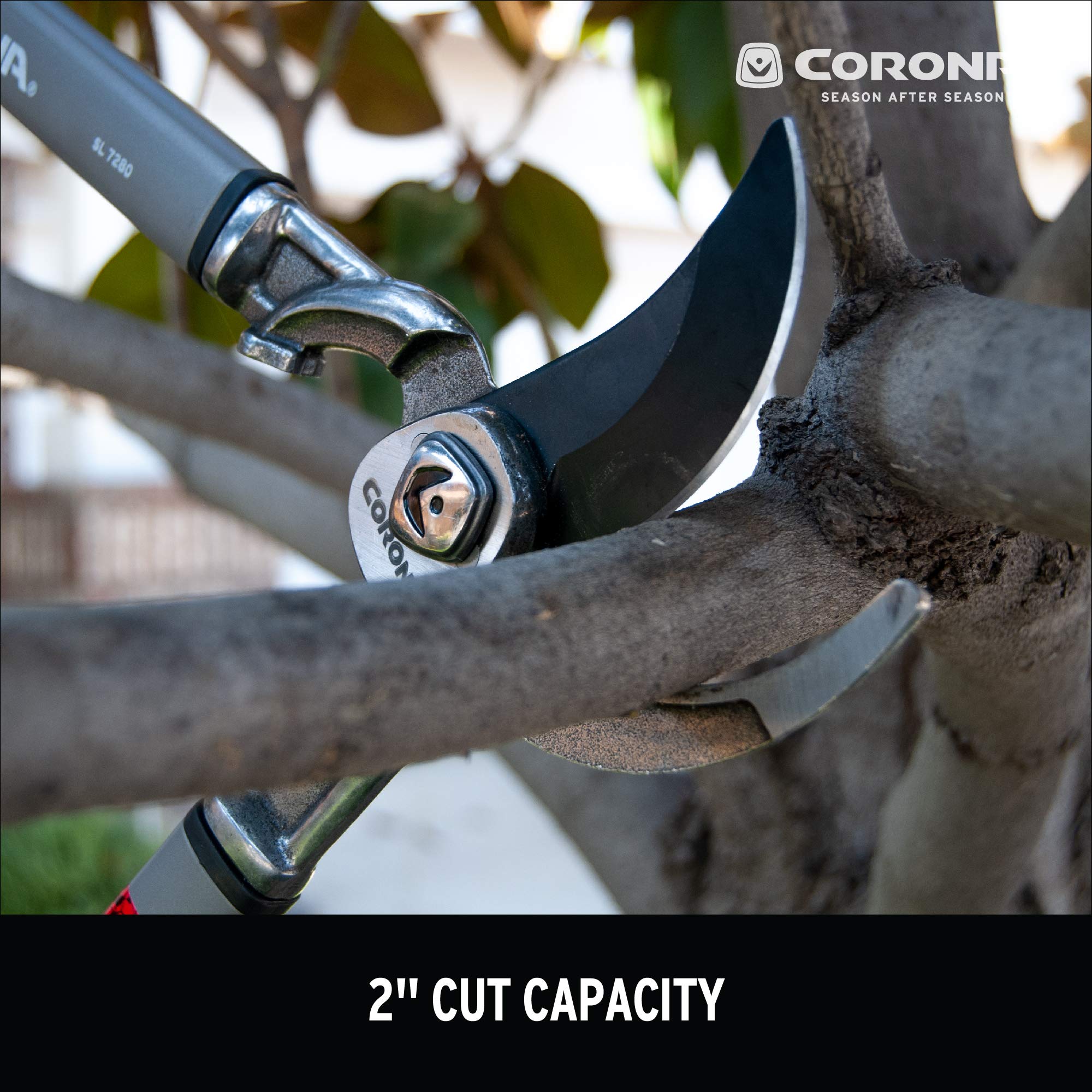 Corona SL 7280 cut branch edge close-up showing neat healthy pruning results
