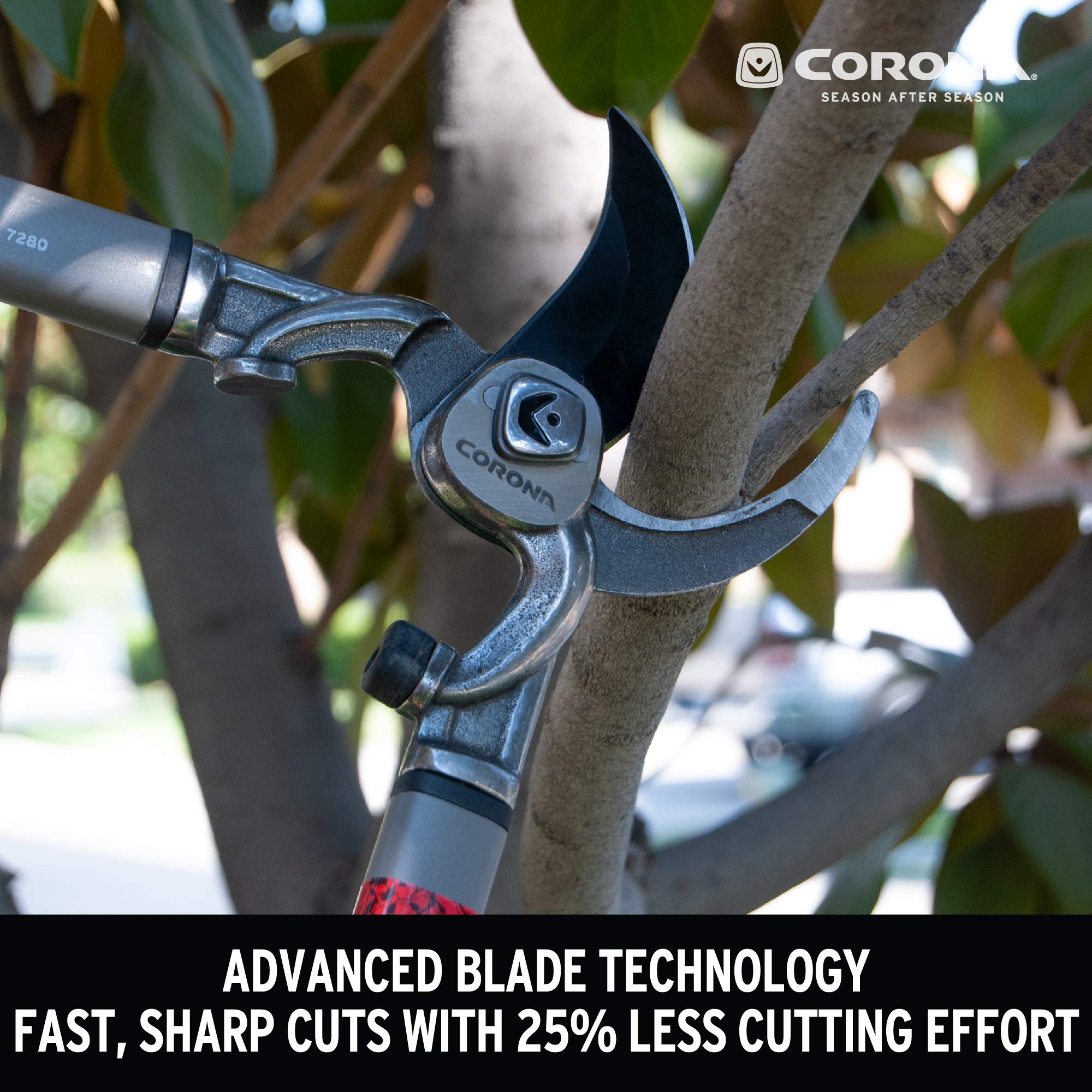 Corona SL 7280 in use cutting a 2-inch branch demonstrating clean bypass cuts