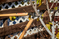 Corona Clipper blade closeup highlighting Radial Arc bypass edge for clean cuts