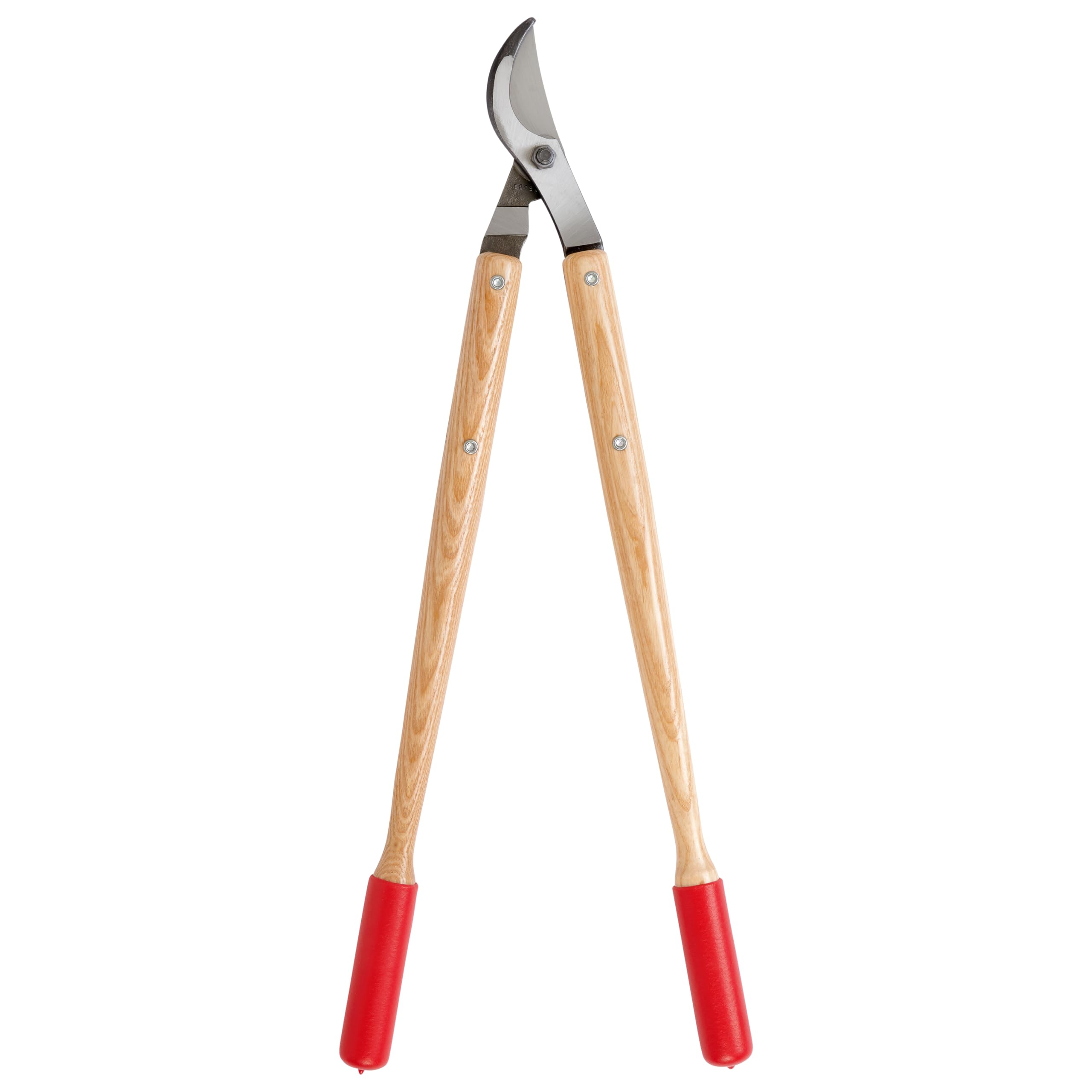 Corona Clipper next to 1.5-inch branch to show cutting capacity and scale