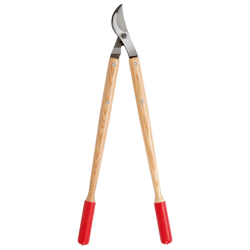 Corona Clipper next to 1.5-inch branch to show cutting capacity and scale