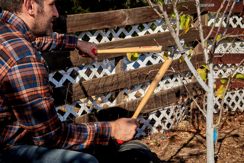 Corona Clipper in action pruning a shrub demonstrating leverage and control