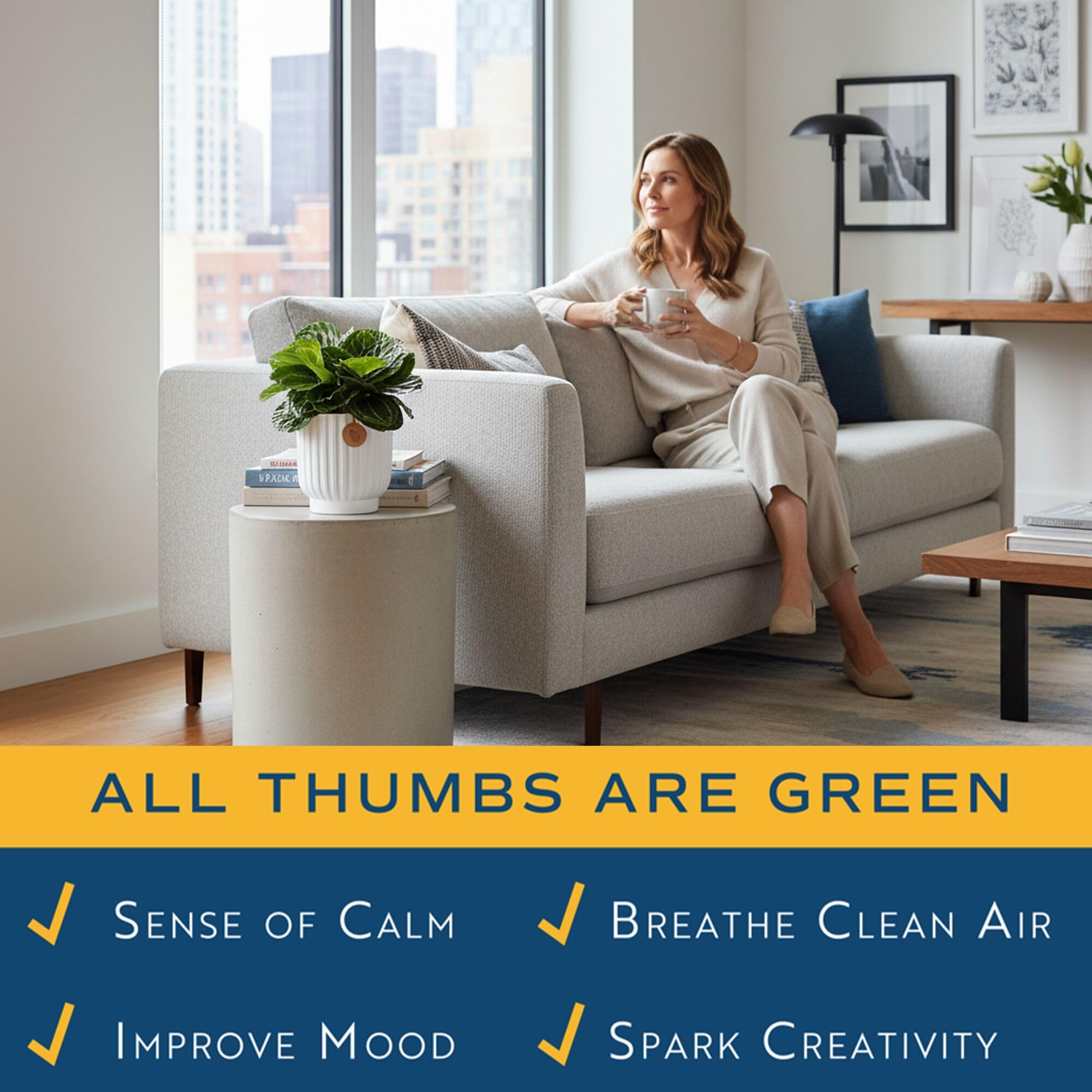 Costa Farms Calathea placed in living room adding calm, natural atmosphere
