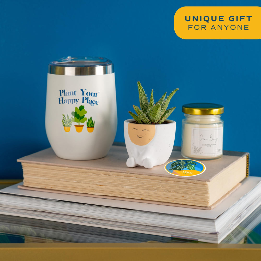 Costa Farms soy candle labeled ocean breeze providing calming fragrance at home
