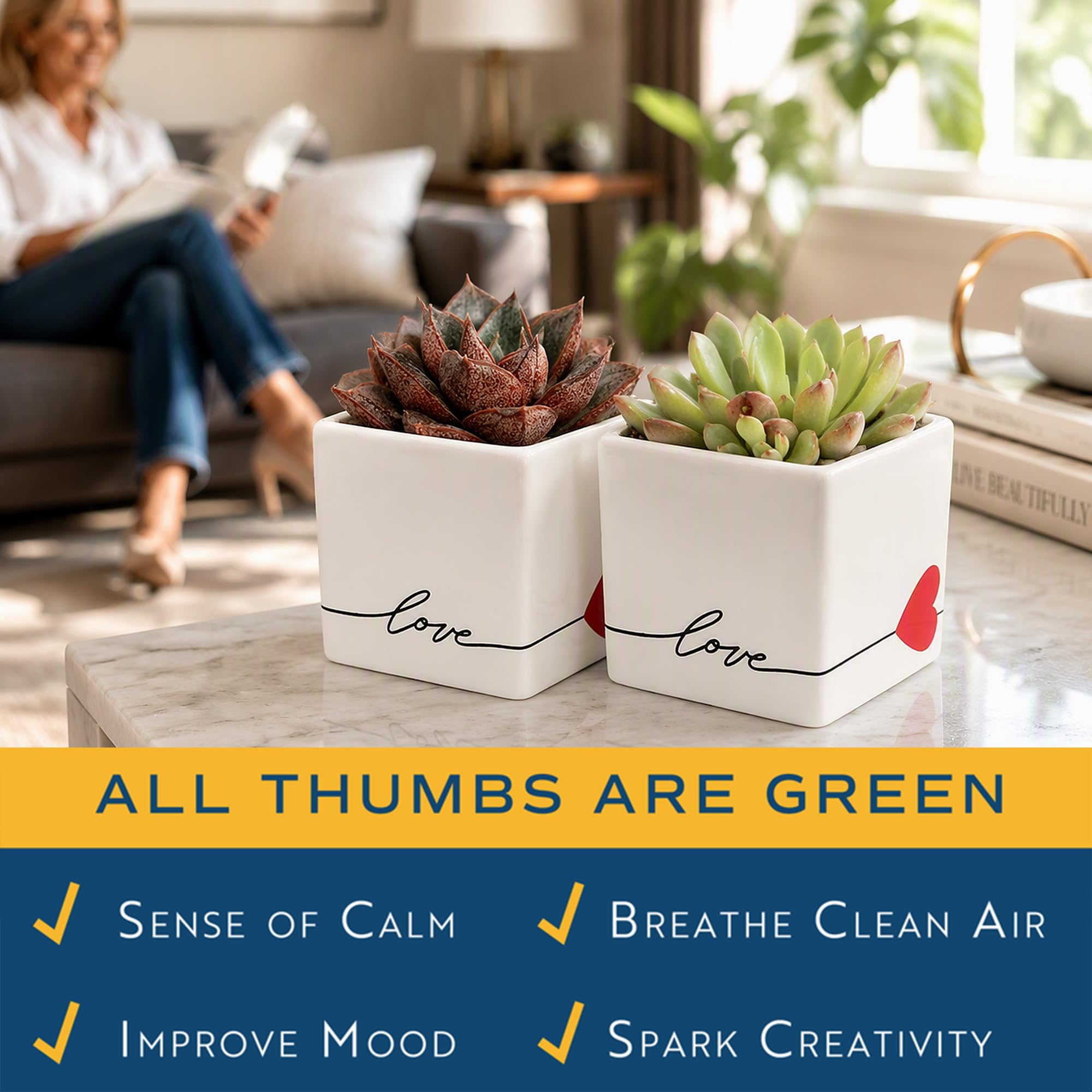 Costa Farms succulent styled on work desk boosting creative workspace atmosphere