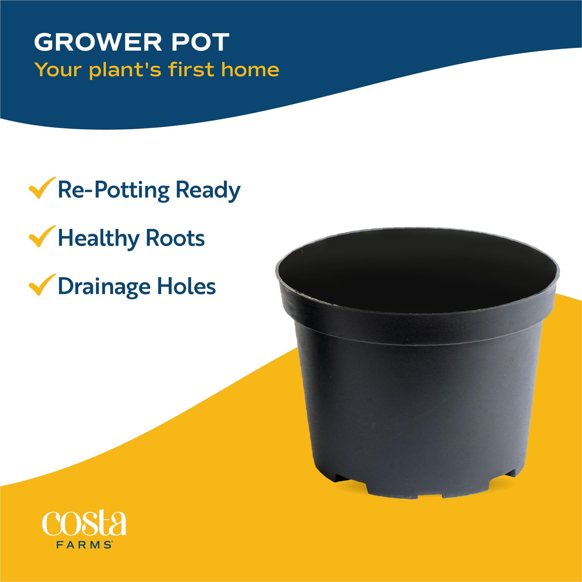 Costa Farms 4-inch grower pot label and soil indicate ready-to-display convenience