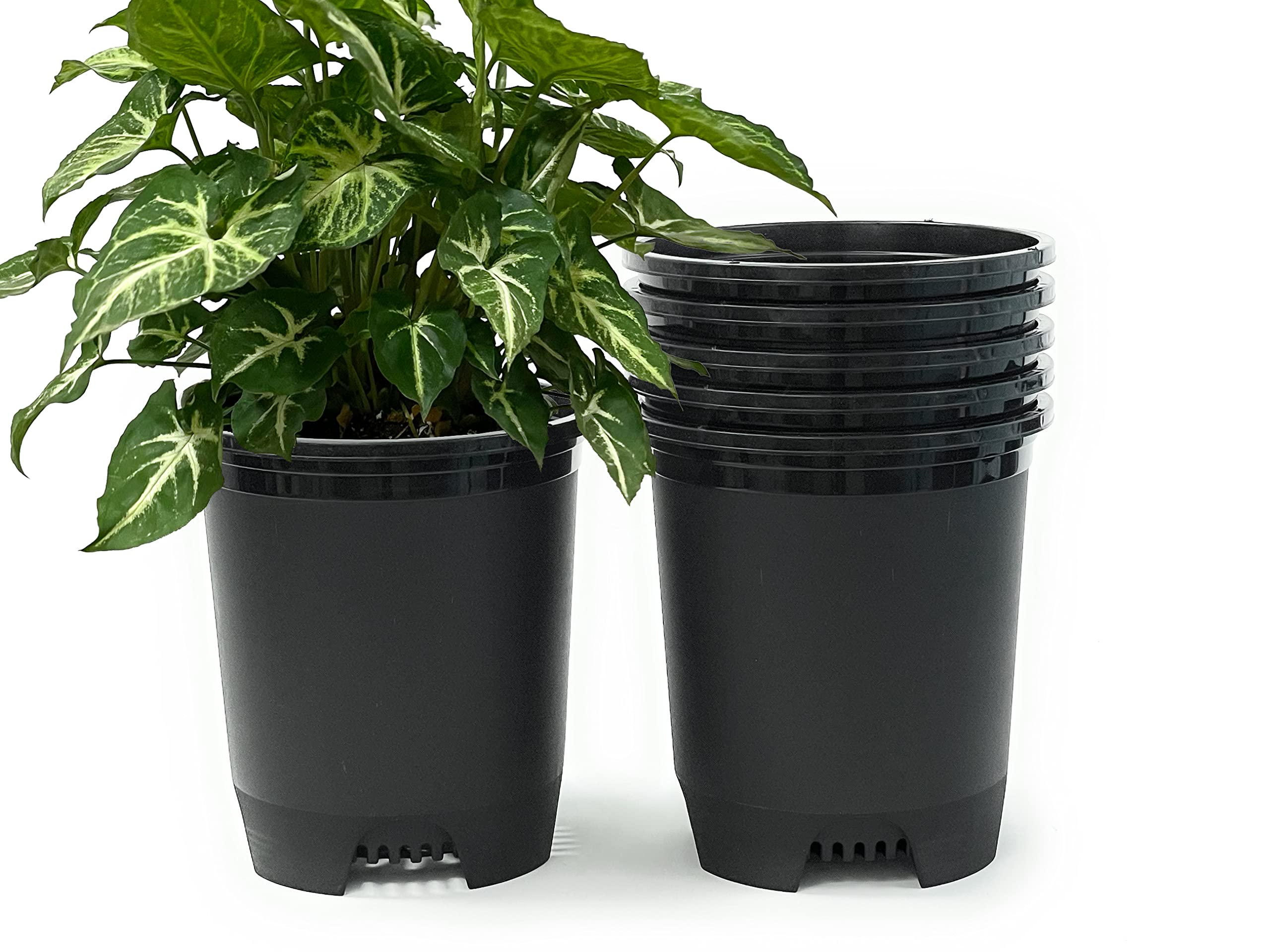 Cotta Planters 6-pack front view showing durable pots and convenient set