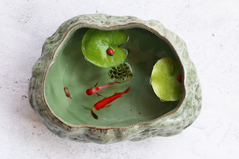 Cotta Planters hosting a tiny goldfish ecosystem demonstrating aquatic use