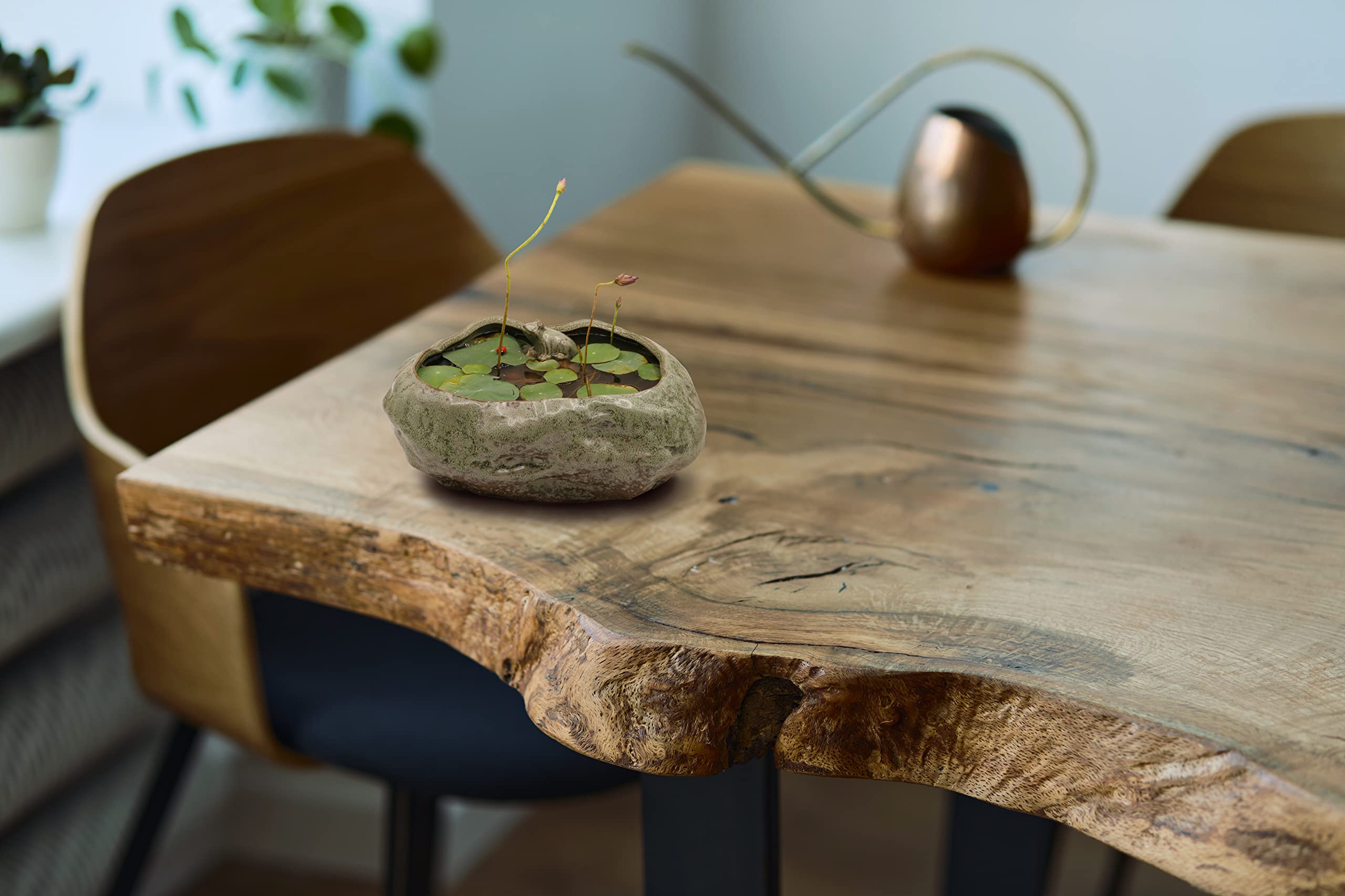 Cotta Planters used as a living room centerpiece to enhance decor