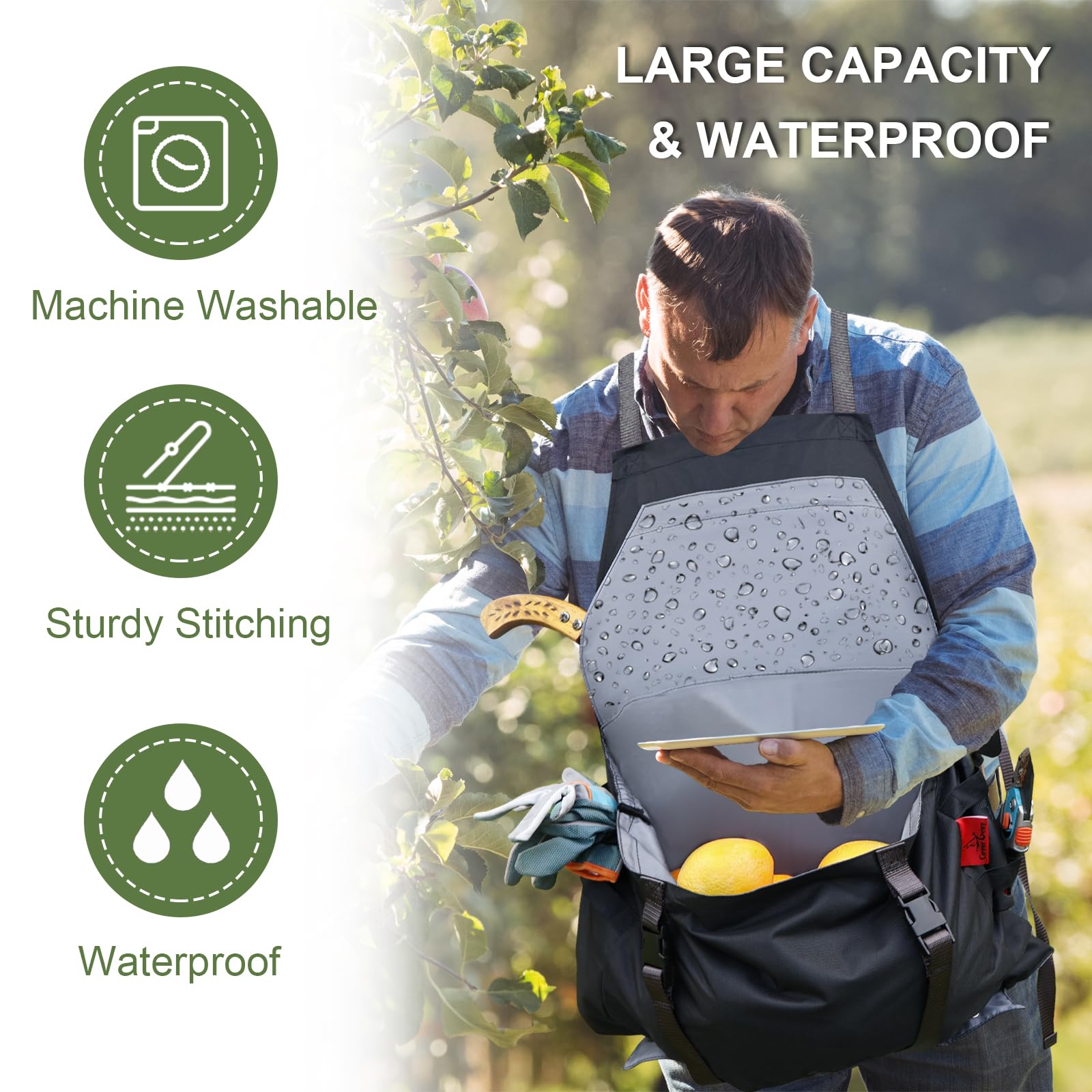 Cover Geny apron in use harvesting tomatoes hands-free and keeping produce secure