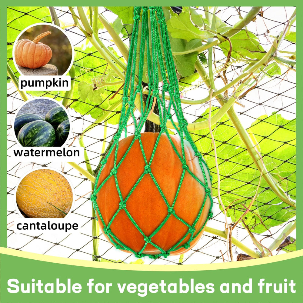 Covzoe hanging net on trellis with melon showing practical orchard installation