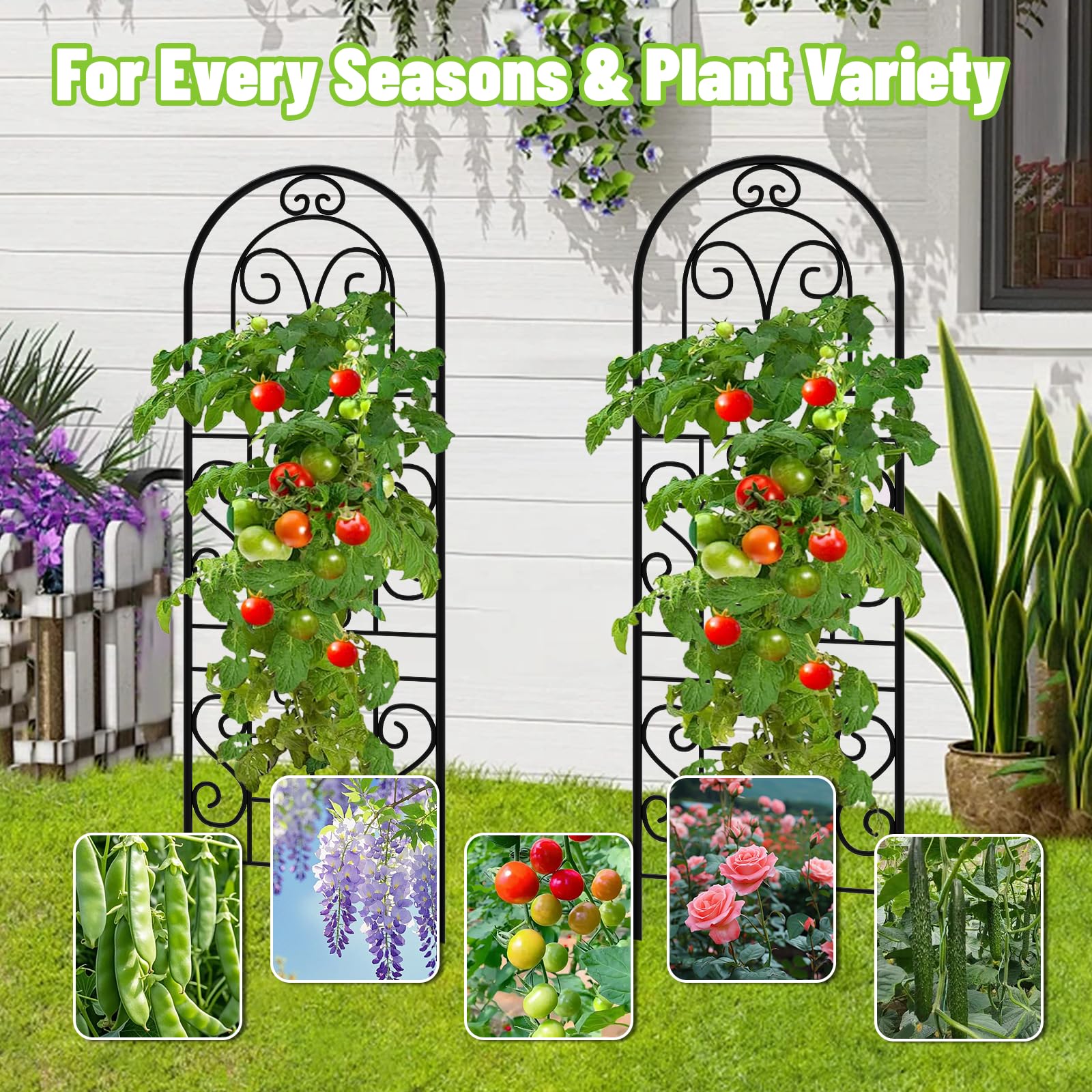 COZEER trellis supporting climbing roses, illustrating bloom display and easier pruning benefit