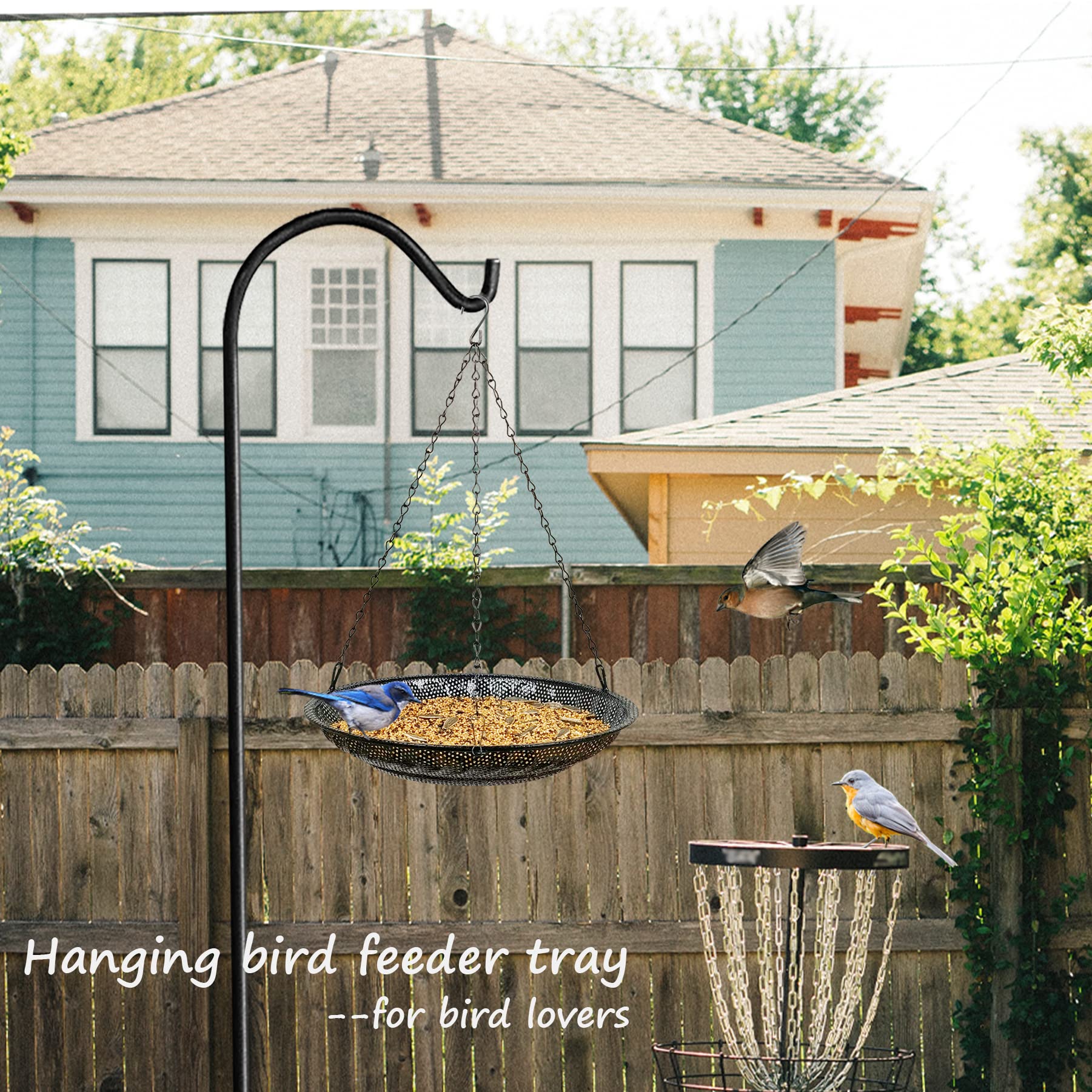 CQAIRIOU in-use hanging on branch with birds feeding, encourages visits