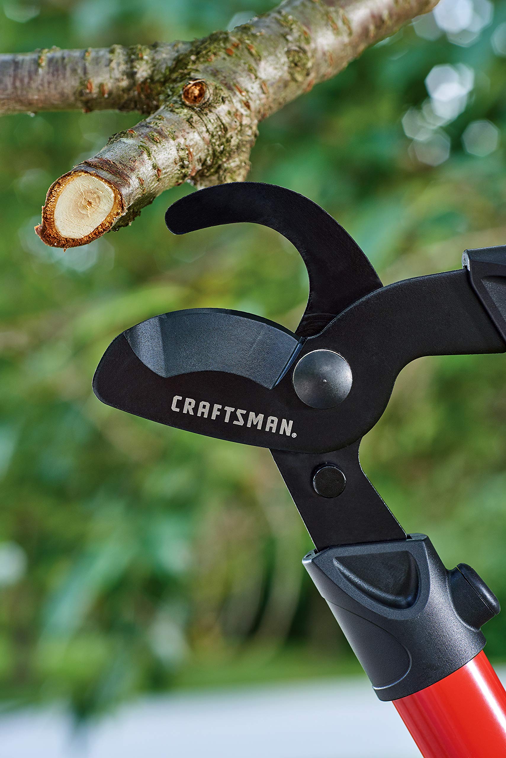 CRAFTSMAN folding saw cutting a thick limb illustrating saw power and reach