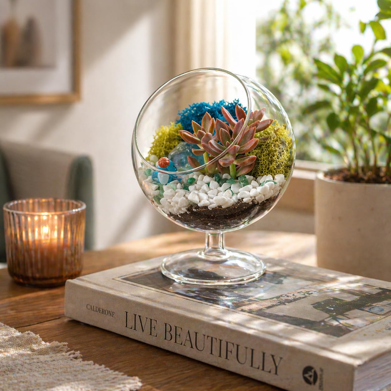 Creations by Nathalie finished terrarium with plant showing polished tabletop display