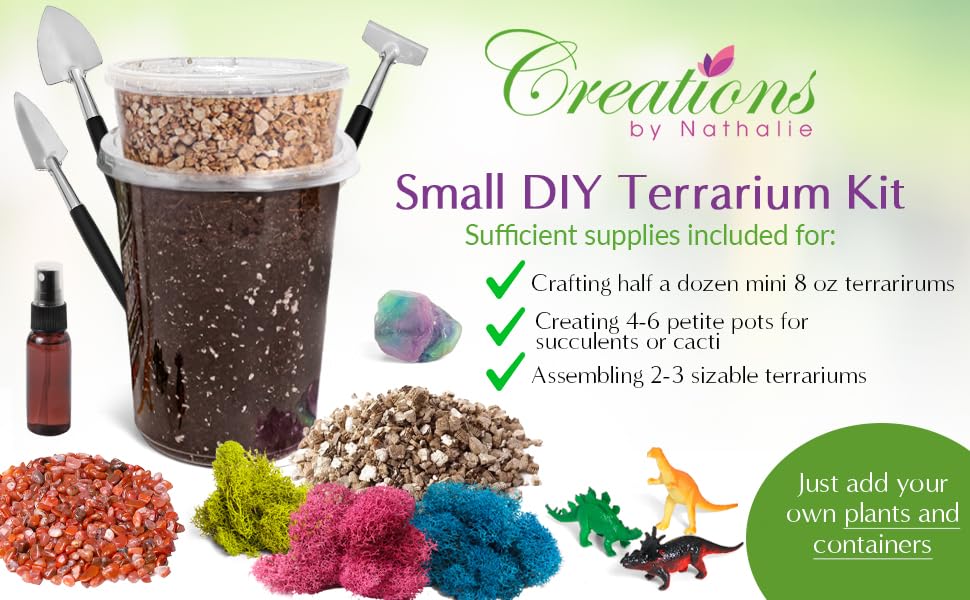Creations by Nathalie terrarium displayed on a desk adding green decor benefit