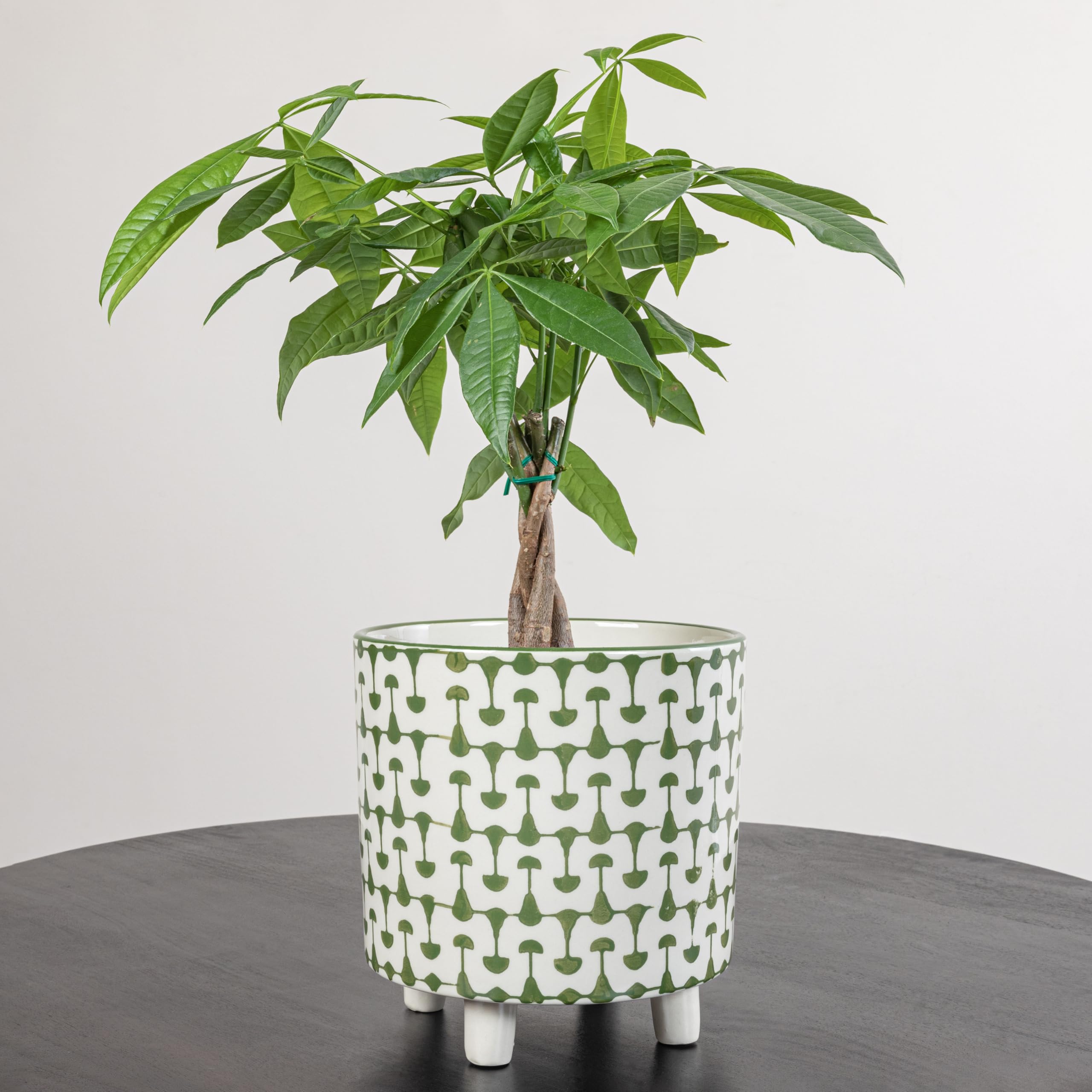 Creative Co-Op label and glaze detail emphasizing quality stoneware finish and color