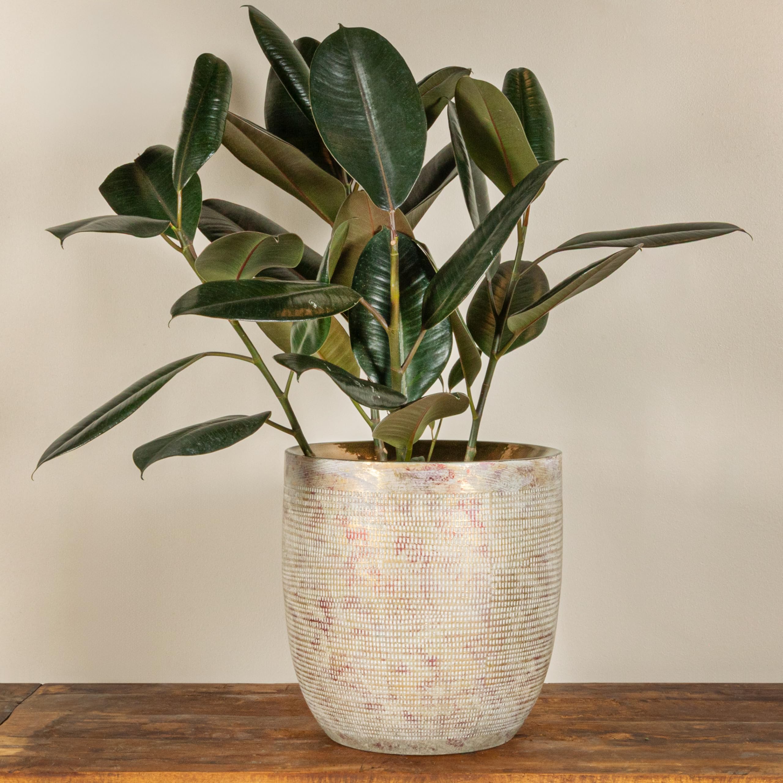 Creative Co-Op planter with tape measure showing 12-inch size for scale and fit