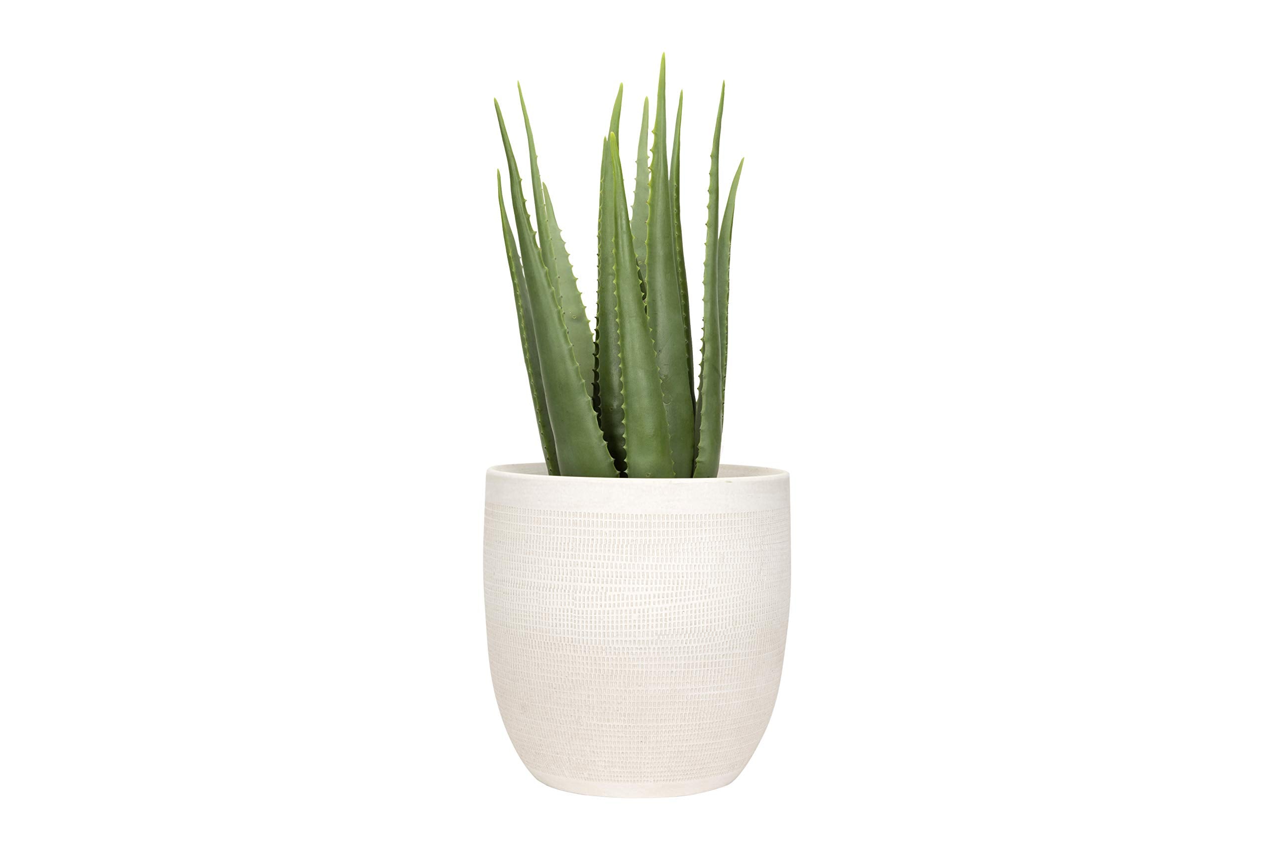 Creative Co-Op planter beside ruler showing 12 inch diameter scale for sizing clarity