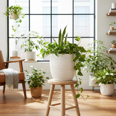 Creative Co-Op side profile showing rounded walls and sturdy stoneware weight for stability