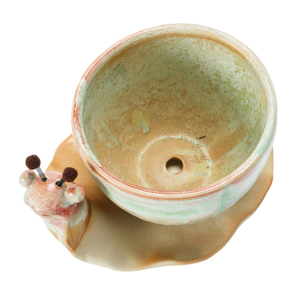 creative co-op snail planter on patio tray protecting surface from water