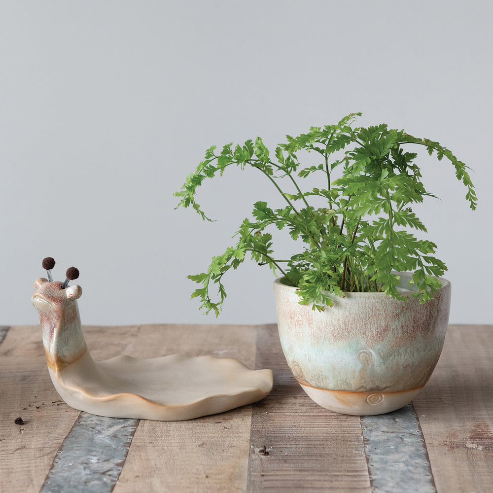 creative co-op next to a 4-inch nursery pot showing accurate size