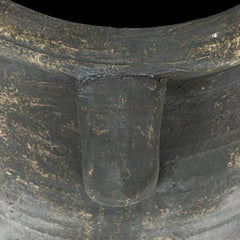 Creative Co-Op urn holding an olive tree demonstrating elegant display