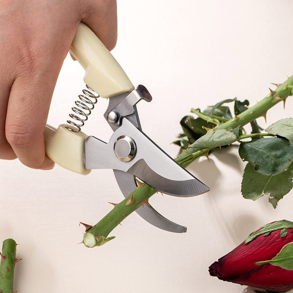 Criativo Live cutting herbs in hand showing precise harvesting benefit