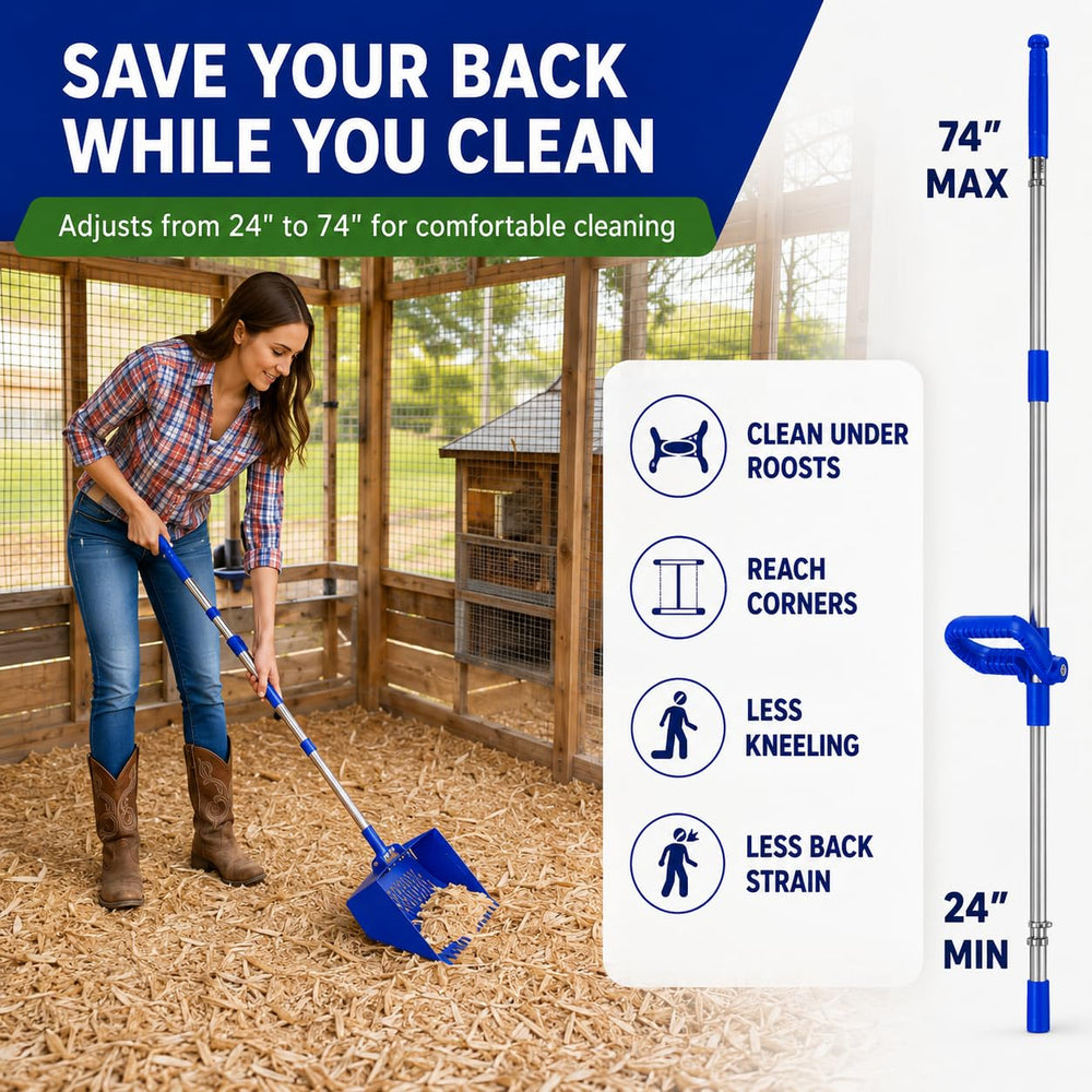 CRITTER FAVS person cleaning under roost to reduce back strain