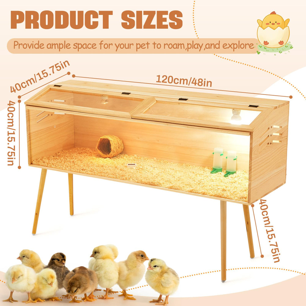 CroBlissful interior setup with feeders and nest for organized care