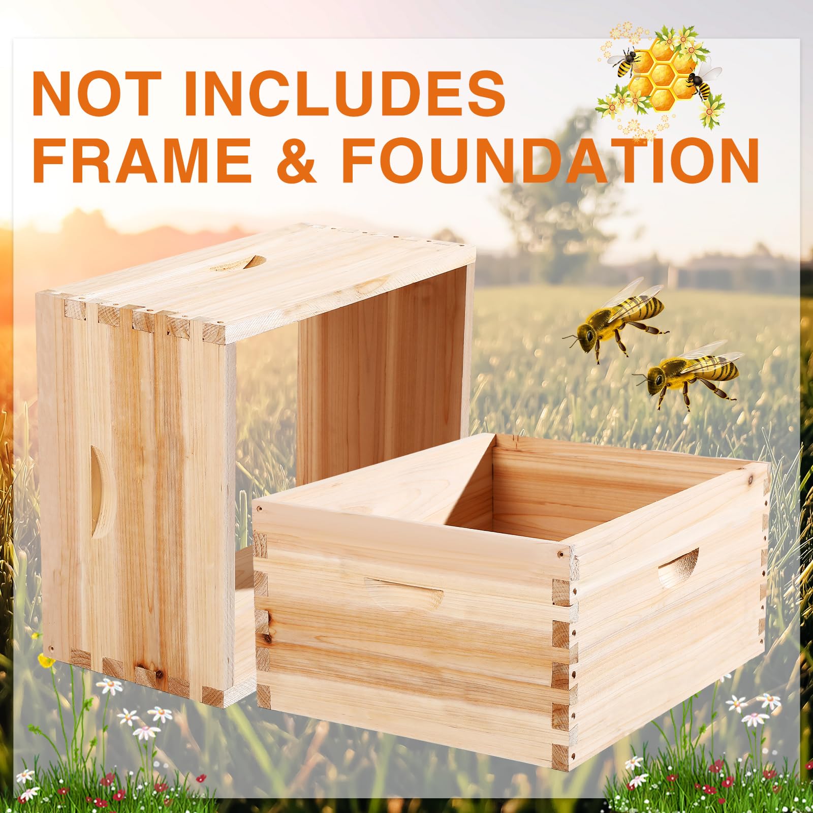 CroBlissful medium super side profile illustrating shallower honey-storage space advantage