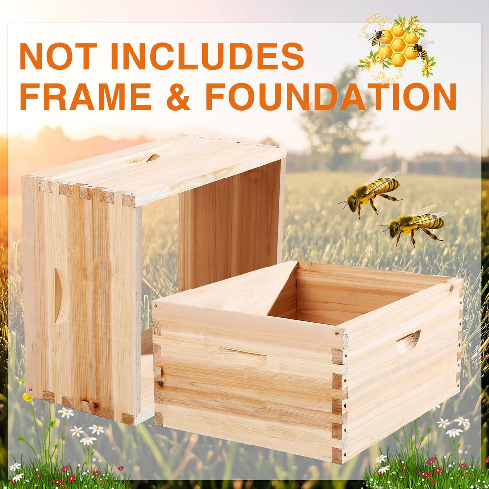 CroBlissful medium super side profile illustrating shallower honey-storage space advantage