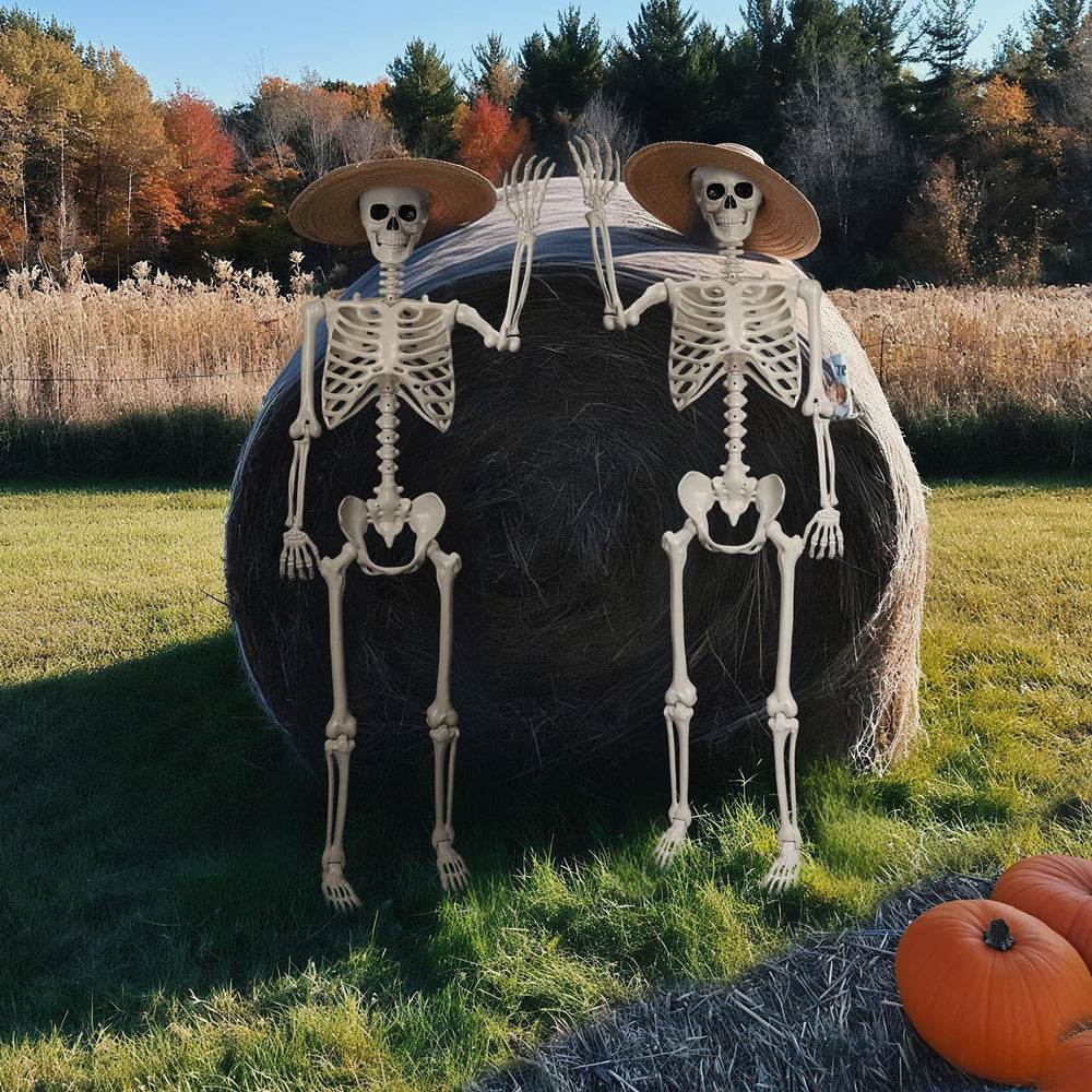 Crogift skeleton staged on porch adding eerie outdoor decoration appeal