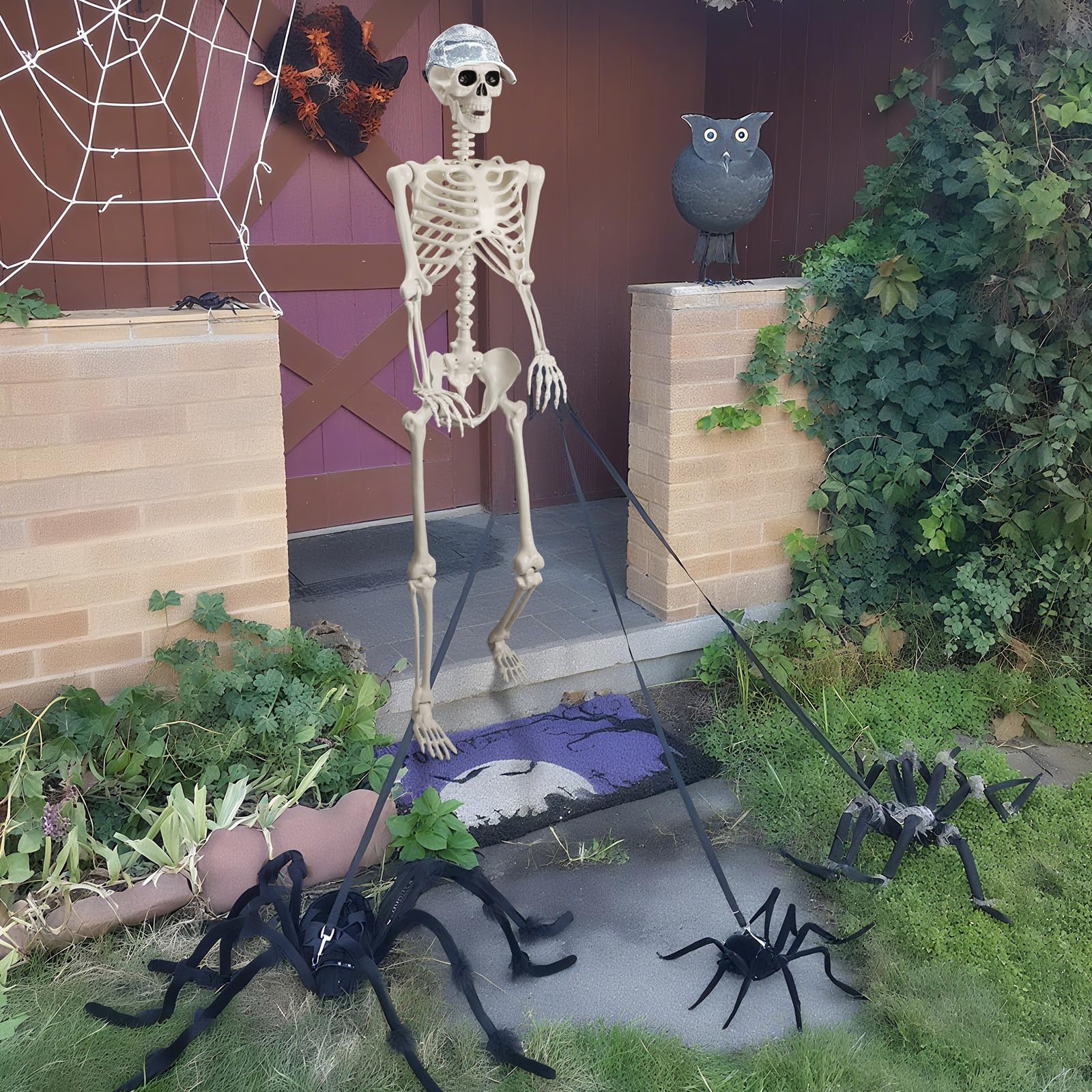 Crogift skeleton posed sitting to show versatility and display ideas