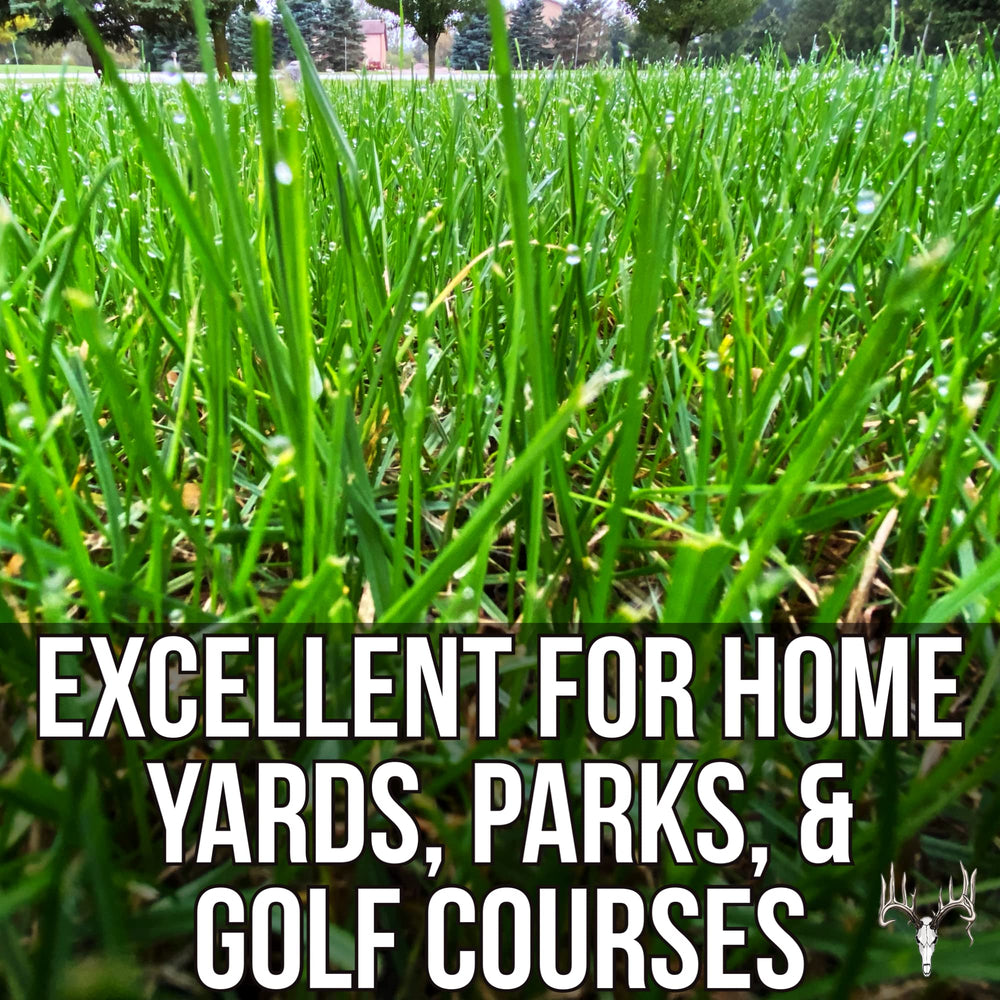 Crooked Bend overseeding yard in use for thick lawn benefit
