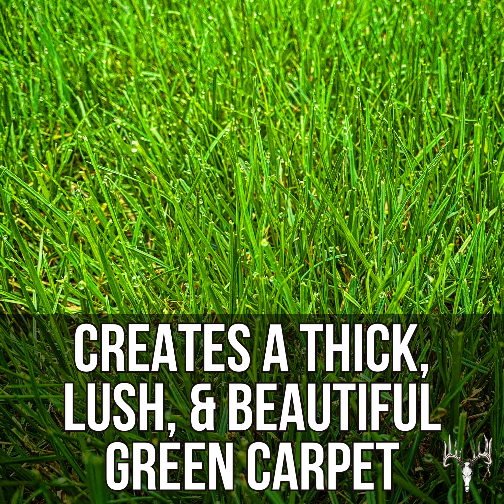 Crooked Bend new grass sprouts demonstrating quick green-up