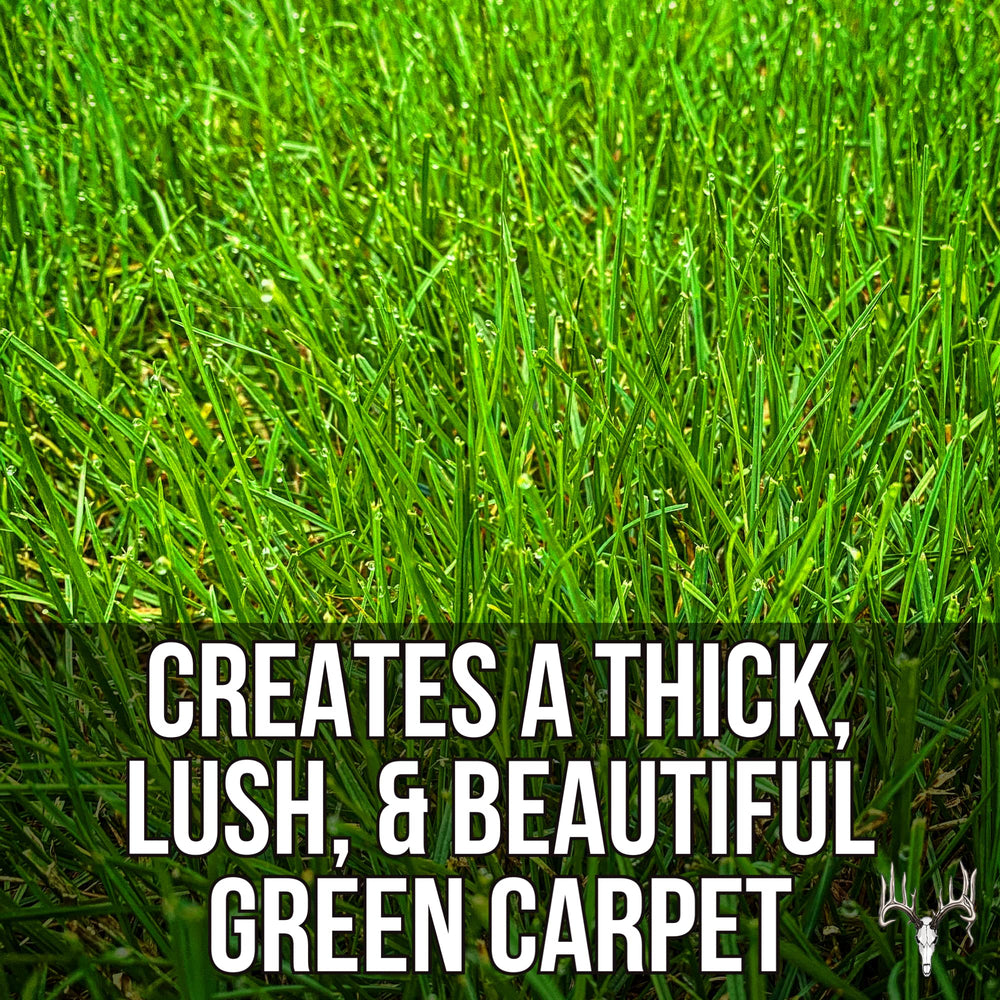 Crooked Bend new grass sprouts demonstrating quick green-up