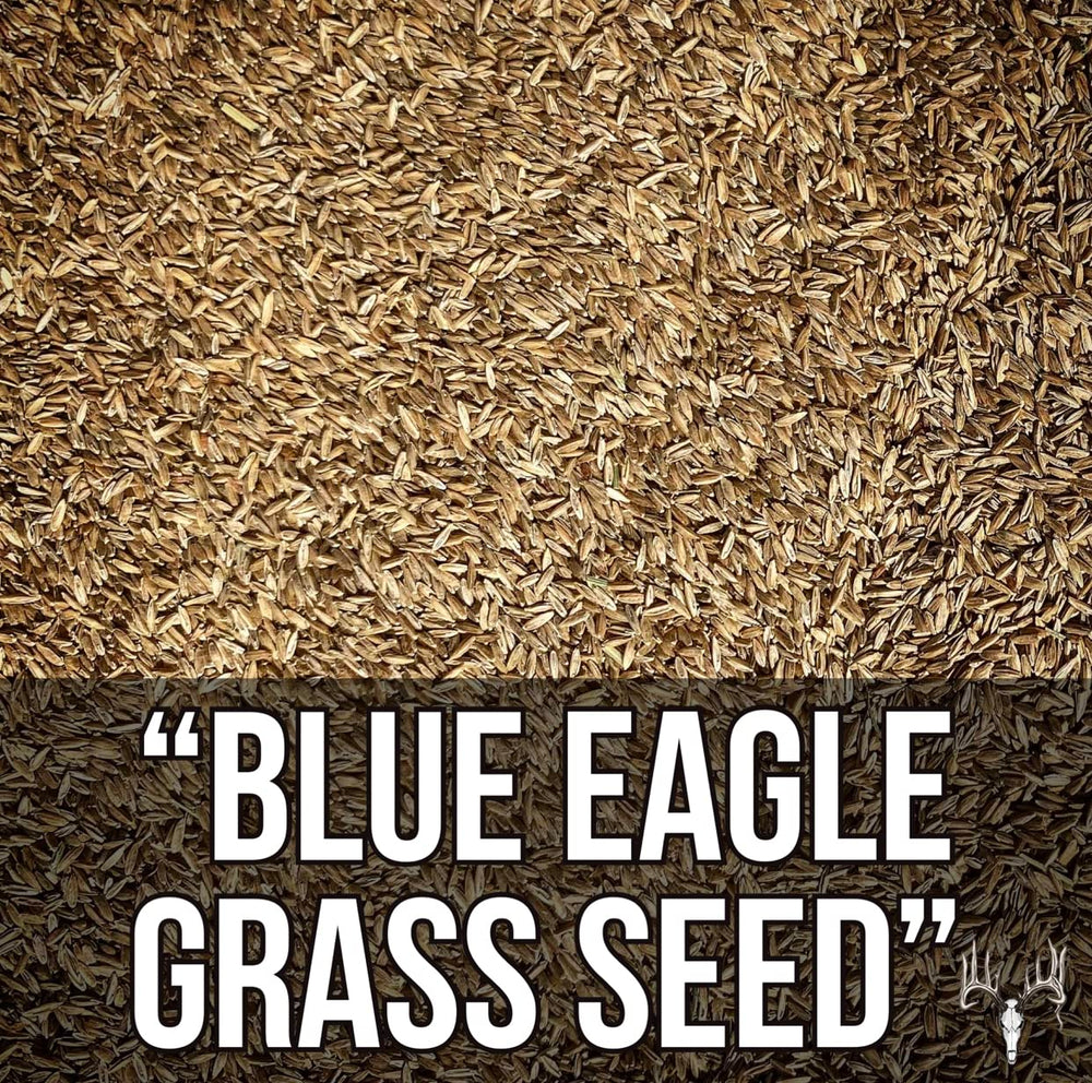 Crooked Bend seed spread on soil for even establishment benefit