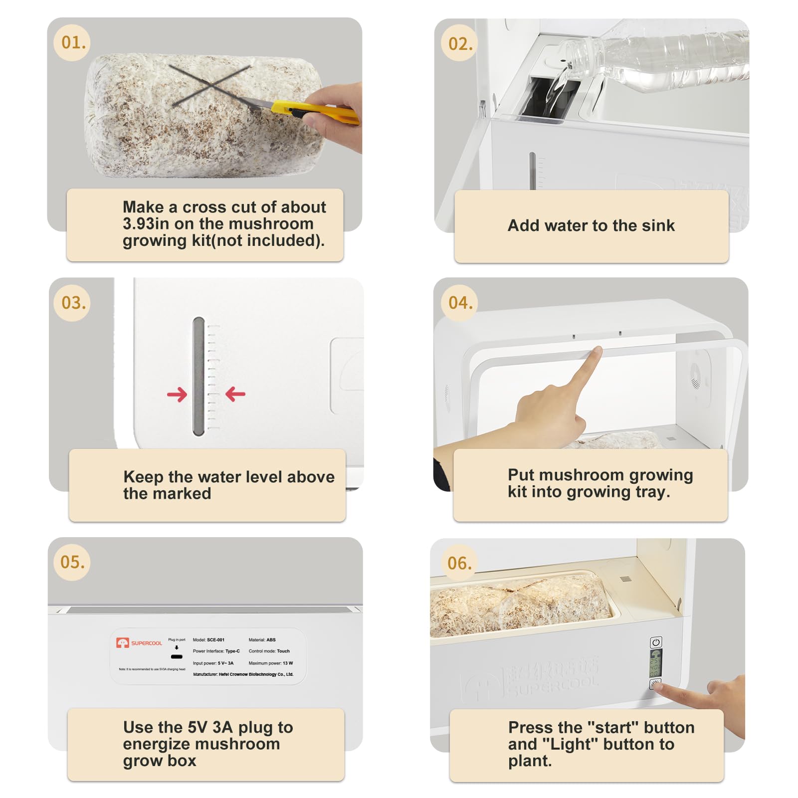 Crownow in use with oyster mushrooms showing healthy fruiting and convenience benefit