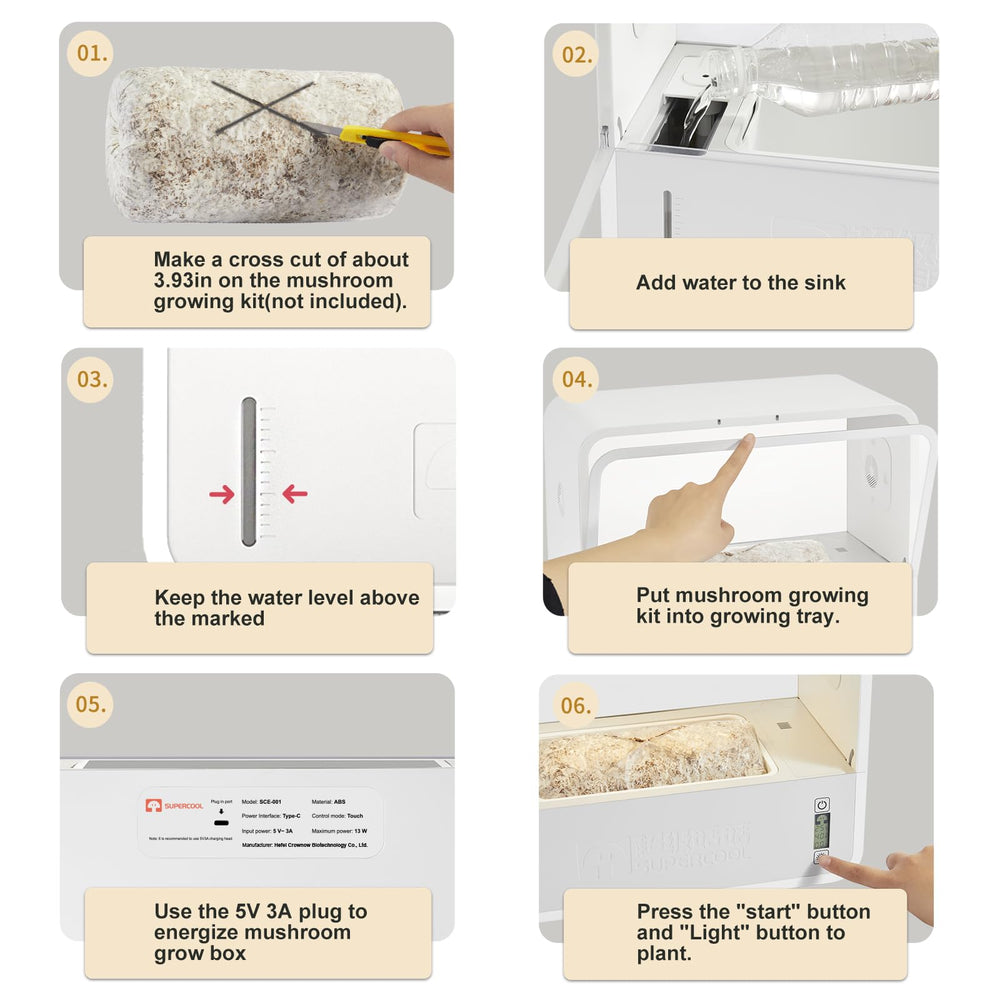 Crownow in use with oyster mushrooms showing healthy fruiting and convenience benefit