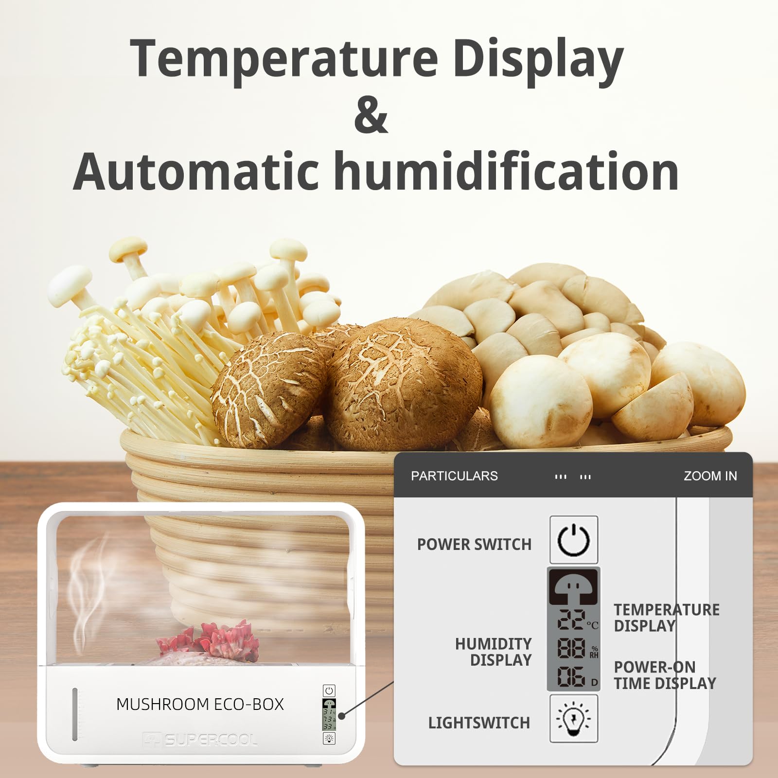 Crownow internal humidifier and water tank demonstrating automatic moisture control benefit