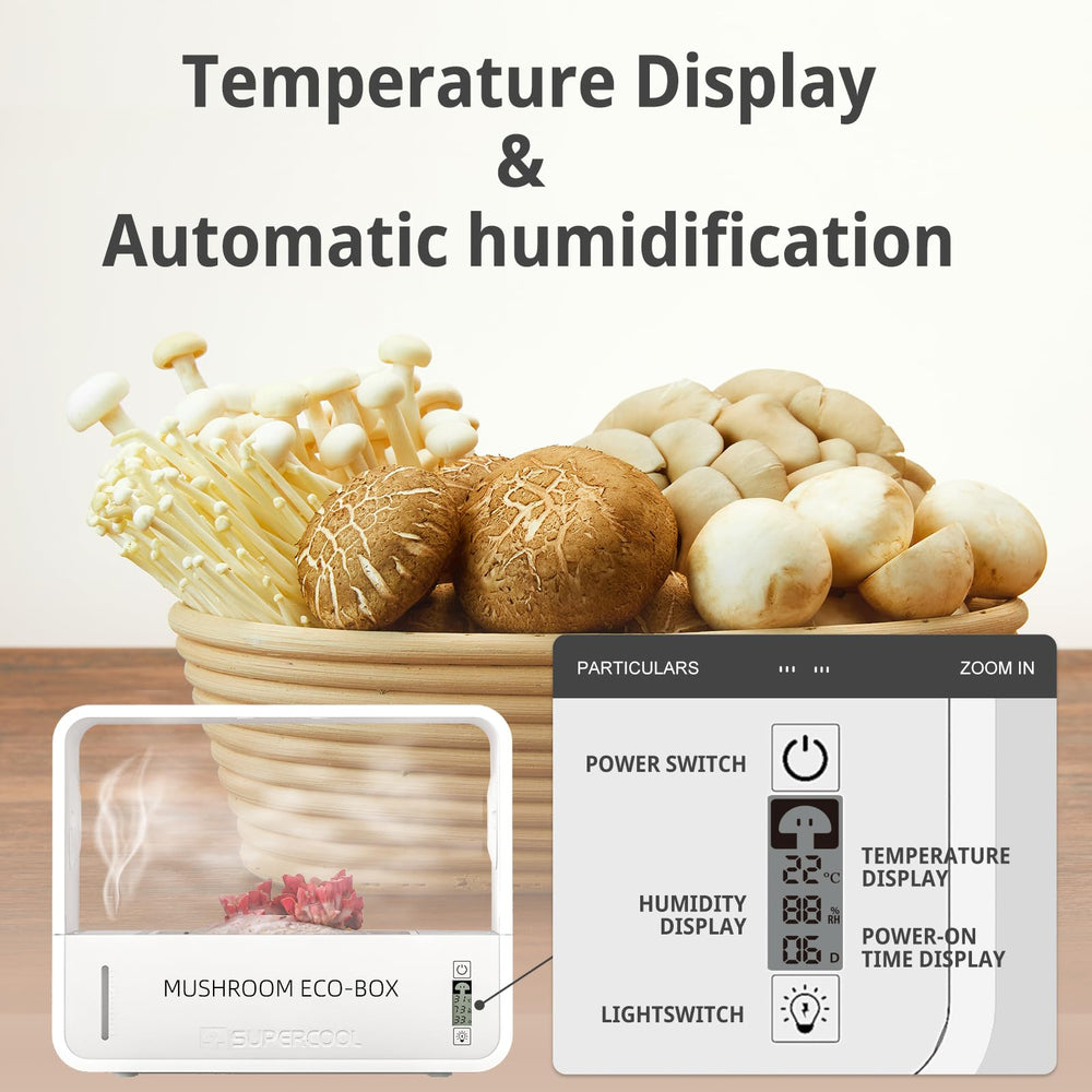 Crownow internal humidifier and water tank demonstrating automatic moisture control benefit