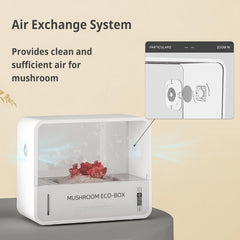 Crownow ventilation fan and filter illustrating clean air exchange benefit