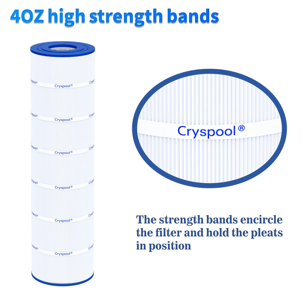 Cryspool cartridge installed in Jandy housing illustrating straightforward replacement benefit