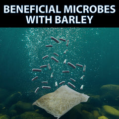 Close-up of CrystalClear powder texture illustrating concentrated beneficial microbes