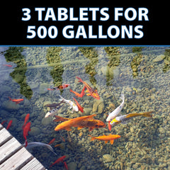 CrystalClear tablets being tossed into pond demonstrating simple use